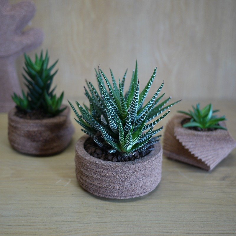 Creative flower pots, indoor potted plants, planting ideas, succulents (striped twelve volumes), cork hand-made crafts, home / office accessories, treatment was smaller, customized service, DIY, gifts - ตกแต่งต้นไม้ - พืช/ดอกไม้ สีนำ้ตาล