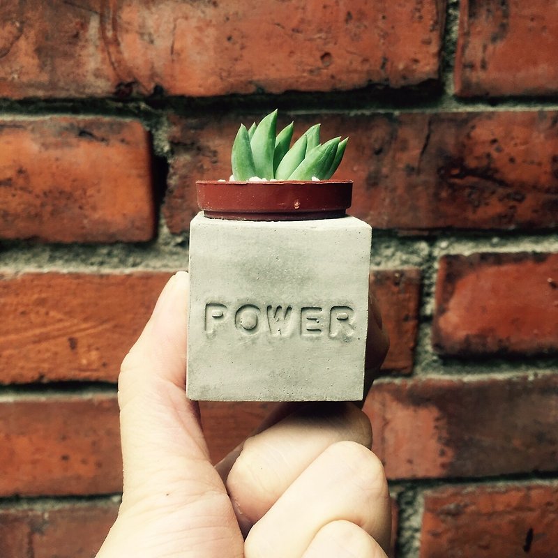 Power~!! (Energy Full) Succulent Magnet Potted Plant - ตกแต่งต้นไม้ - ปูน สีดำ