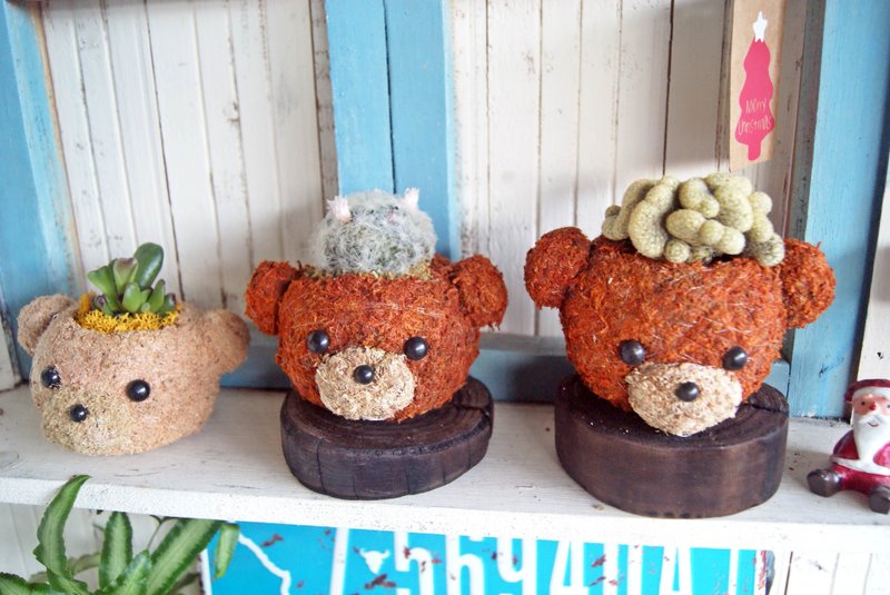 Lovely moss natural raging X meaty planting coffee Bear (spot) - ตกแต่งต้นไม้ - พืช/ดอกไม้ 