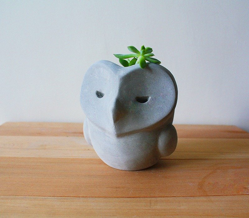 Happiness Owl Pots - Plants - Cement Gray