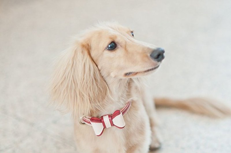 BICOLOR BOW - Collars & Leashes - Genuine Leather Multicolor