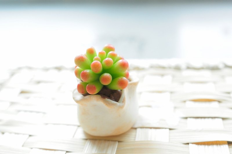 Sweet Dream☆Mini clay pot with bionic succulents/Otome heart - Other - Clay Green