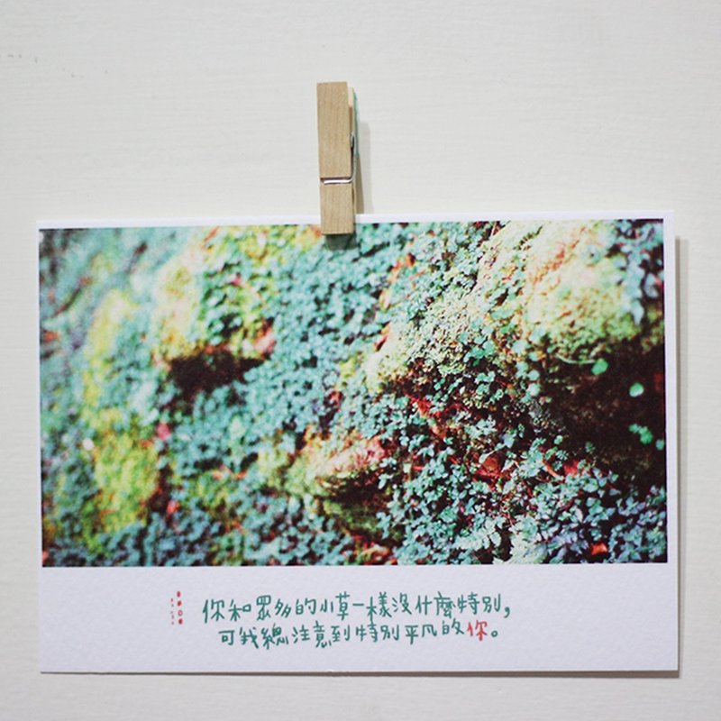 In particular you / Magai's postcard - Cards & Postcards - Paper Green