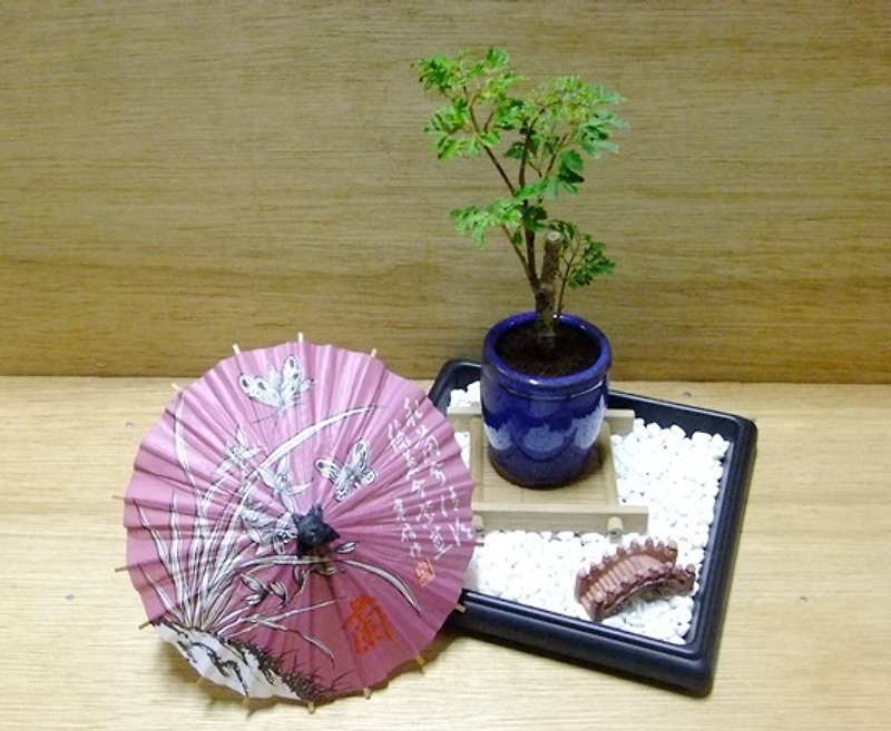 Japanese bonsai sketch ‧ ‧ Rich Spring 