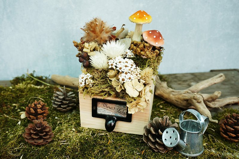 Uncharted Forest. Forest Department of dried flowers small drawers - Plants & Floral Arrangement - Plants & Flowers Green