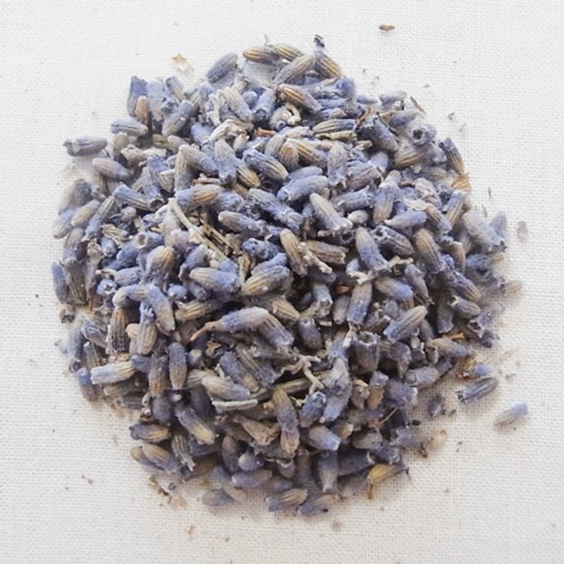 薰衣草 (隨身包1入) Lavender - 茶葉/茶包/水果茶 - 植物．花 藍色