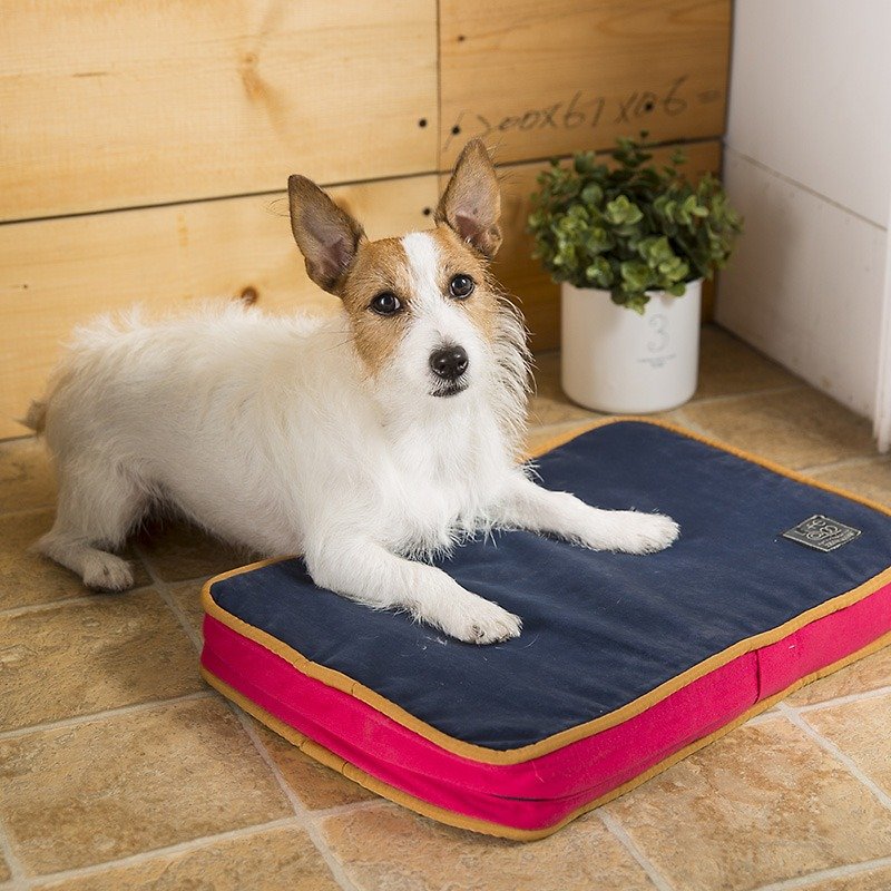Lifeapp Non-staining Pet Sleeping Mat XS (Red and Blue) W45 x D30 x H5 cm - Bedding & Cages - Other Materials Red