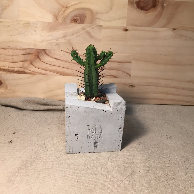 DOLOMAMA 《鬼才》虹彩閣-多肉 水泥盆栽組 - 盆栽/植栽 - 水泥 灰色