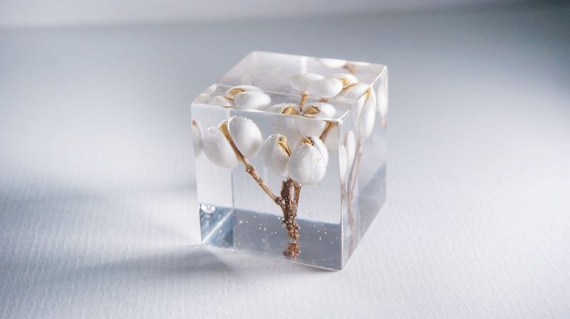 White fruiting branches - three-dimensional square dried flowers decoration - ของวางตกแต่ง - พืช/ดอกไม้ ขาว