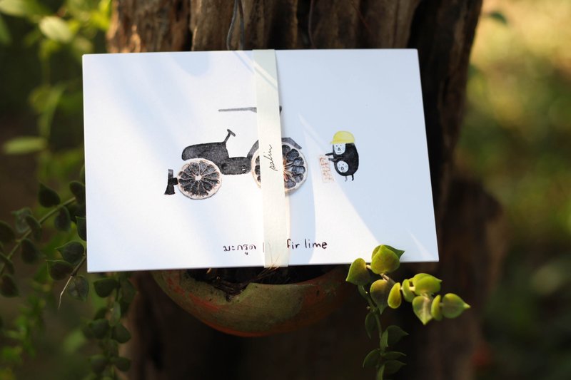 paim postcard (set a) - 卡片/明信片 - 紙 白色