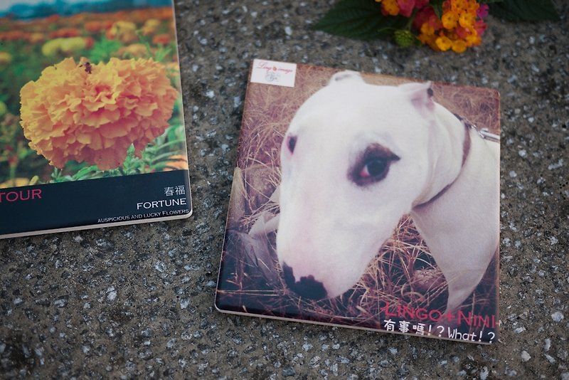 【雲游视界ღ pictour】Image creation installation art coaster "Something's Affair" Charming Dog Series - Other - Other Materials Khaki