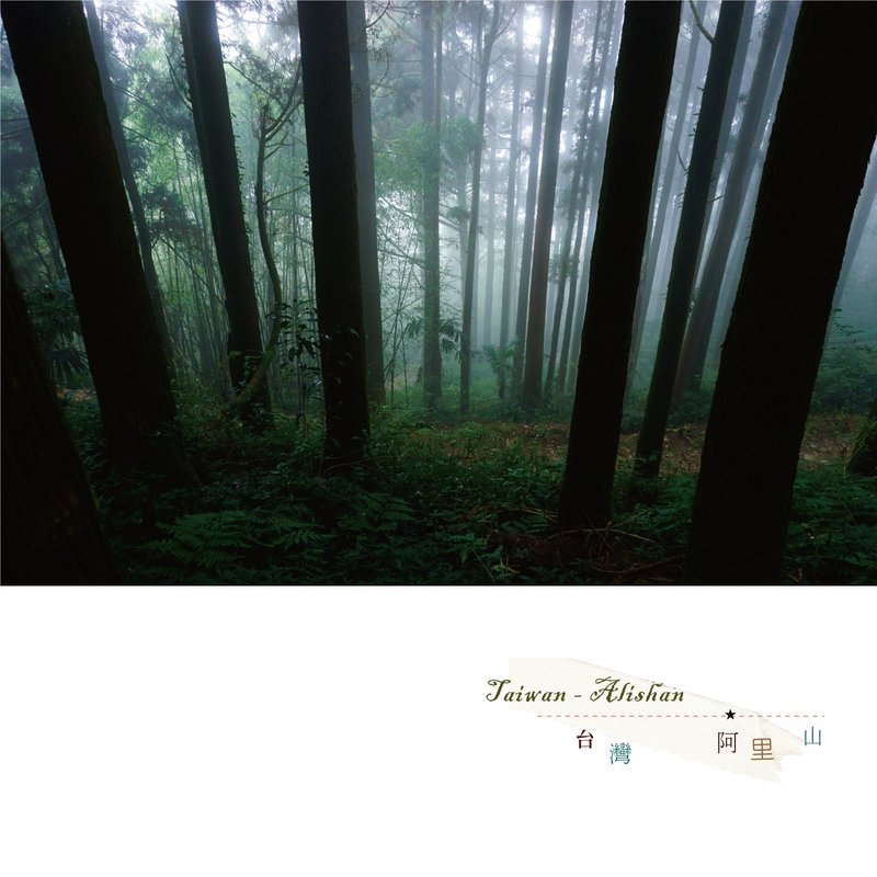 台灣攝影明信片 - 卡片/明信片 - 紙 