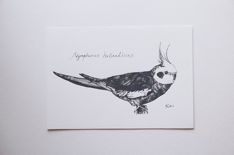 Birdink | Postcards <cockatiels> Station perch - Cards & Postcards - Paper 