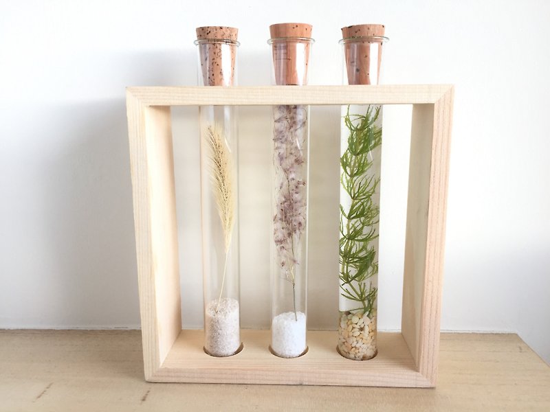 [Pure natural] bottle dried flower seasons tubes square wooden frame was smaller potted plants lovely spa gift - ของวางตกแต่ง - พืช/ดอกไม้ หลากหลายสี