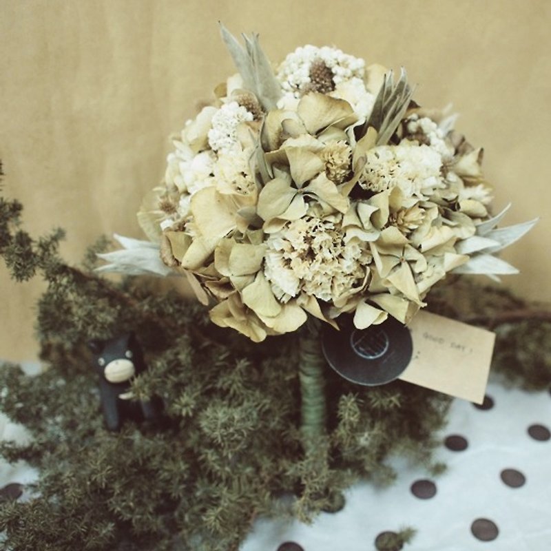 猫早期花|グリーンイーオン永遠の緑の乾燥ブーケブライダルブーケ結婚式の写真撮影 - 観葉植物 - 寄せ植え・花 グリーン