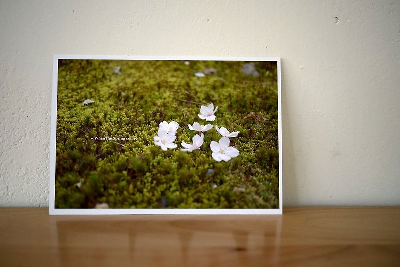 Spring Series | colorful, photo cards. - การ์ด/โปสการ์ด - กระดาษ สีเขียว