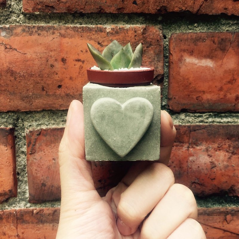 Love one piece~* Magnet succulent potted plant - Plants - Cement Gray