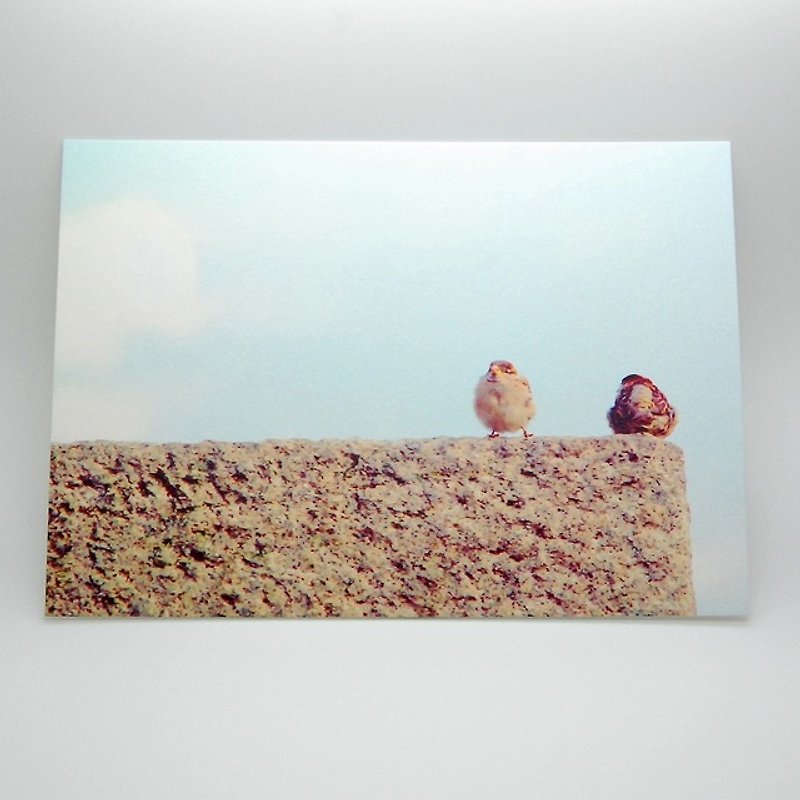 Travel Postcard: Eurasian tree sparrow I, Berlin, Germany - การ์ด/โปสการ์ด - กระดาษ หลากหลายสี