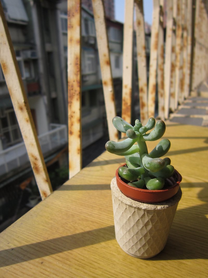 Ice cream and cement planting (send succulents) - Plants - Cement Gray