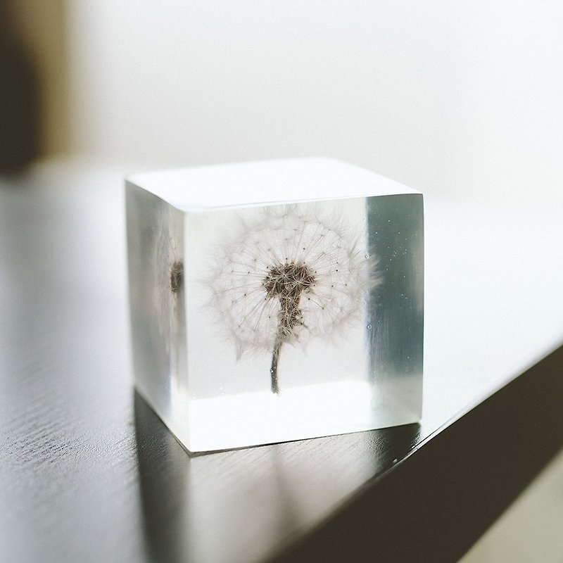 OOPSY - handmade crystal paperweight specimens - Dandelion, L - Items for Display - Other Materials White