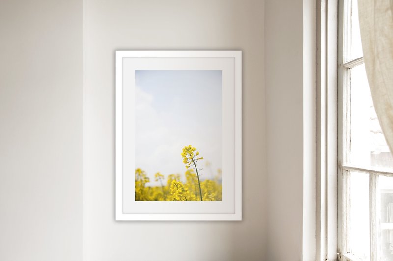 Photography_Rapeseed Field III (without box/additional price) - Posters - Paper Yellow