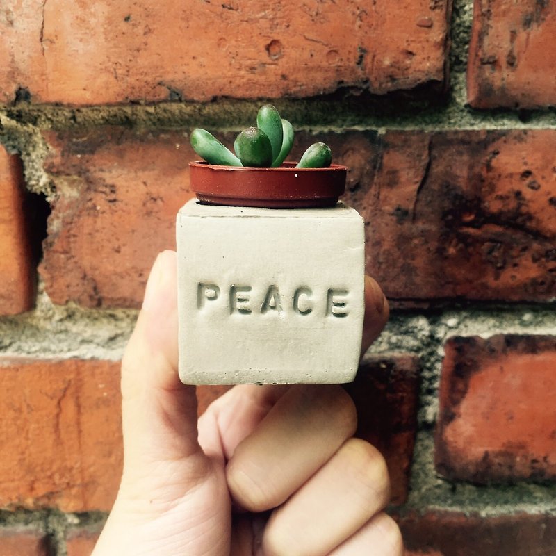 Peace!! Magnet Potted Plant - Plants - Cement Gray