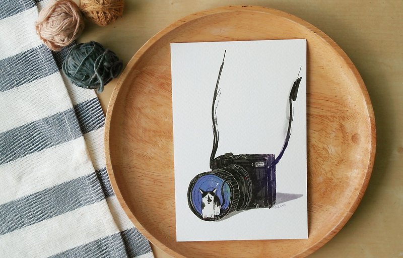 โปสการ์ดพิมพ์ลาย  แมวกล้อง - การ์ด/โปสการ์ด - กระดาษ หลากหลายสี
