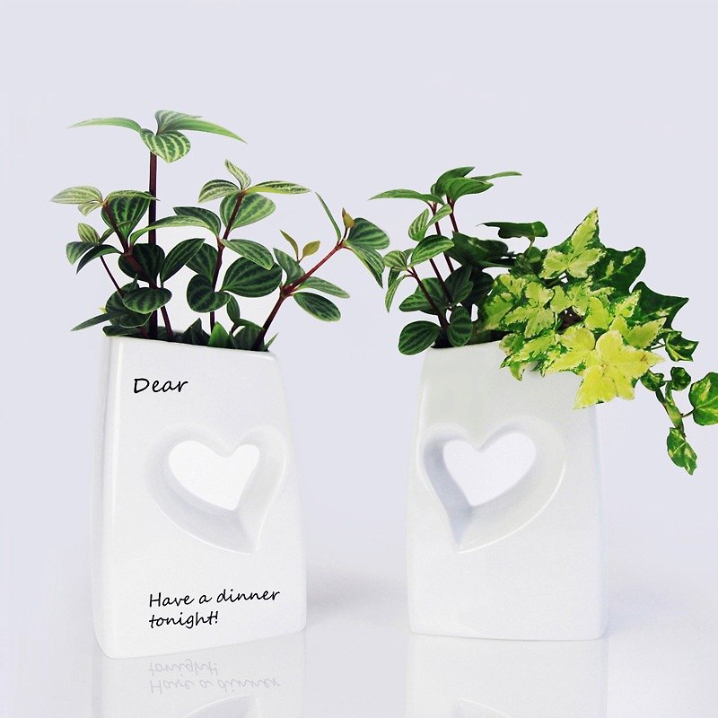 ハート花瓶 - 観葉植物 - 磁器 ホワイト