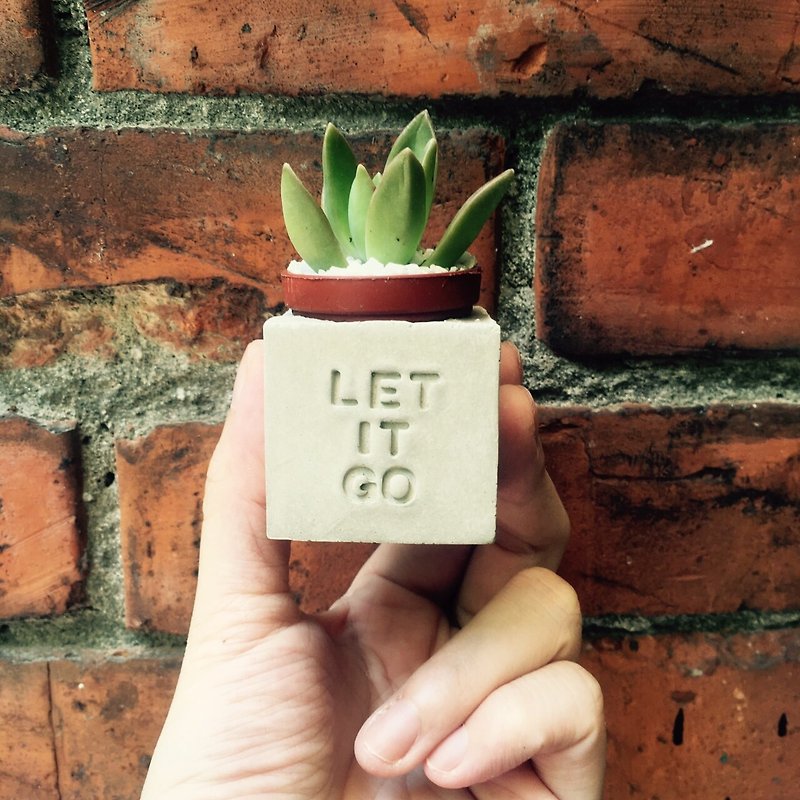 Let It Go!!! マグネット鉢植え - 観葉植物 - コンクリート グレー