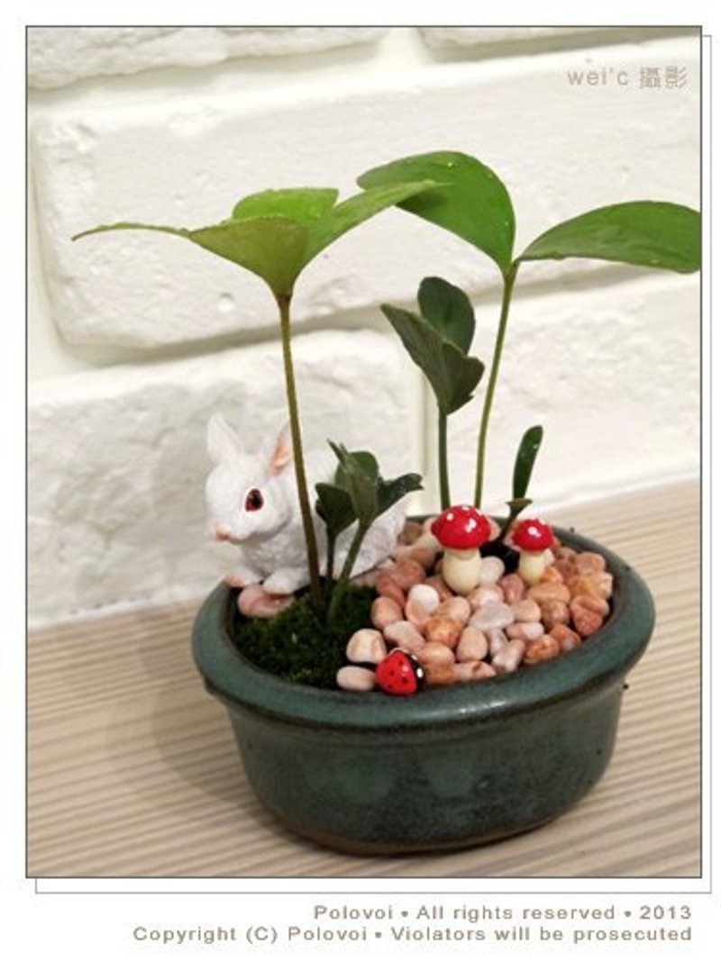 【純手作】愛麗絲夢遊綠境系列- 初章 - 盆栽/植栽 - 其他材質 綠色