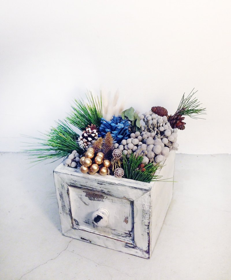 ◥幻想中的你pipe dream Box自然乾燥果實花草實木抽屜盒 - 植栽/盆栽 - 植物．花 綠色