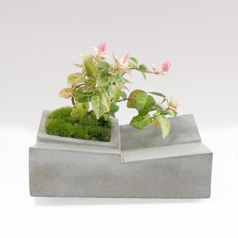 Greenology 水泥花器 - 盆栽/植栽 - 水泥 灰色