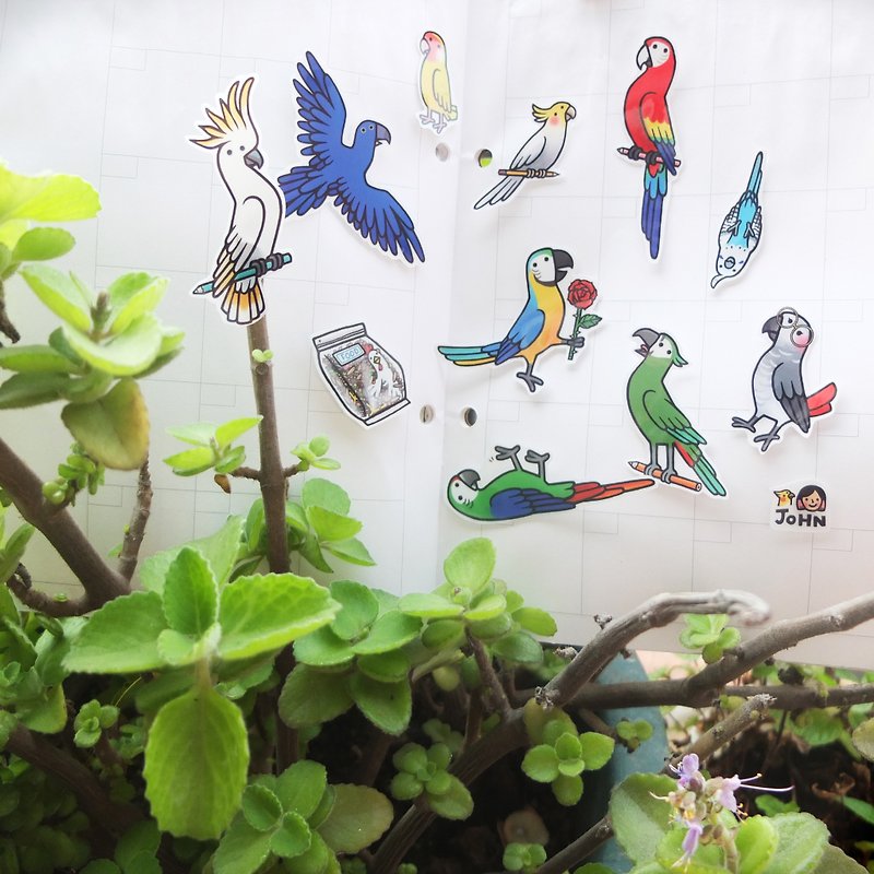 鸚鵡朋友透明貼紙 DOUBLE! 22張組 - 貼紙 - 防水材質 多色