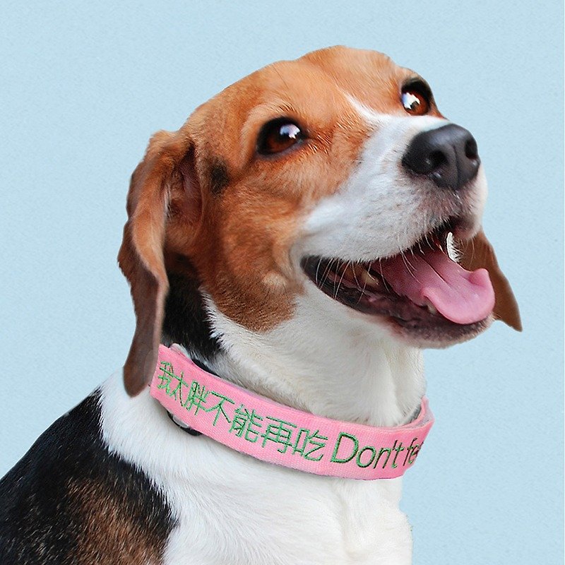 (M) pink camouflage collar quickdraw - Collars & Leashes - Thread Pink