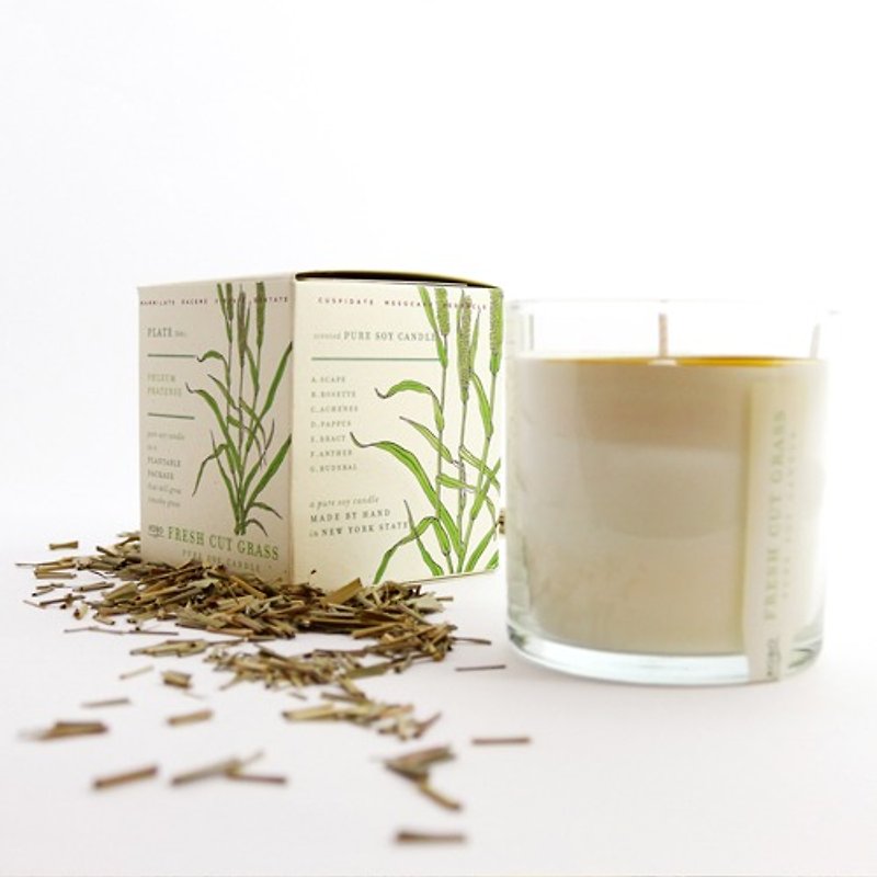 [KOBO] American Soybean Oil Candle-Fresh Pasture (280g / burnable 60hr) - Candles & Candle Holders - Wax Green