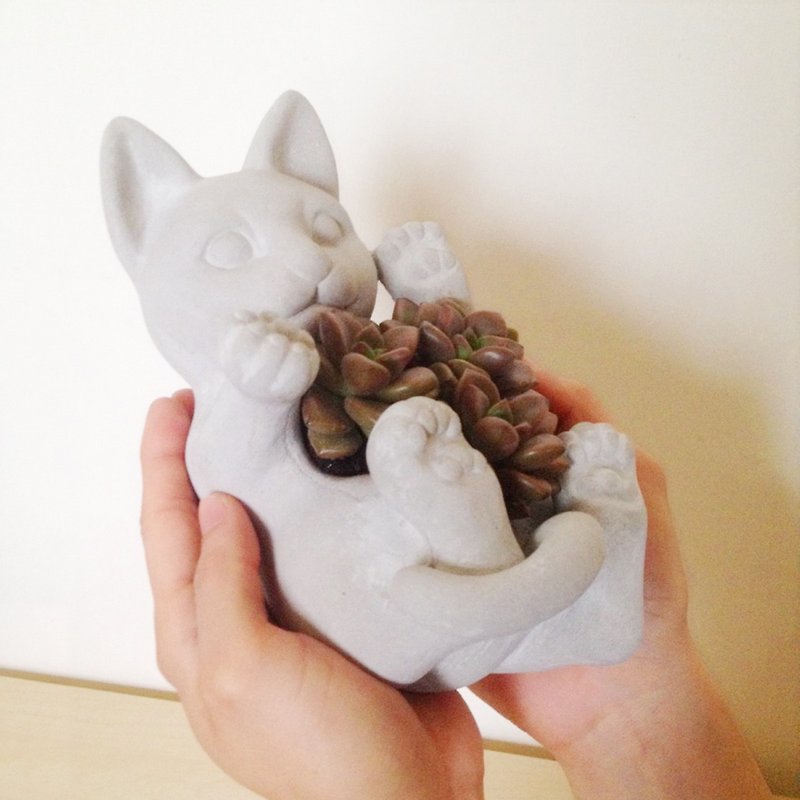 Fairy Cat Pots - Items for Display - Cement Gray
