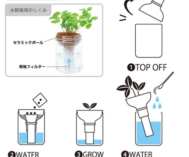 Green Pet 綠色水耕栽培盆器 植物瓶 兩款 設計館聖新陶芸seishin 植栽 盆栽 Pinkoi