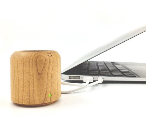 Cannon | 5cm wood crafted speaker