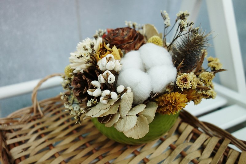 Would you like a tea bar (served fresh money). Dessert Bei Bei (green) - Plants & Floral Arrangement - Plants & Flowers Green