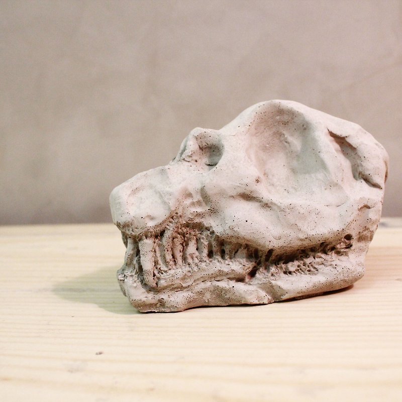恐竜の頭蓋骨/骨/セメント装飾/産業風 - 置物 - コンクリート グレー