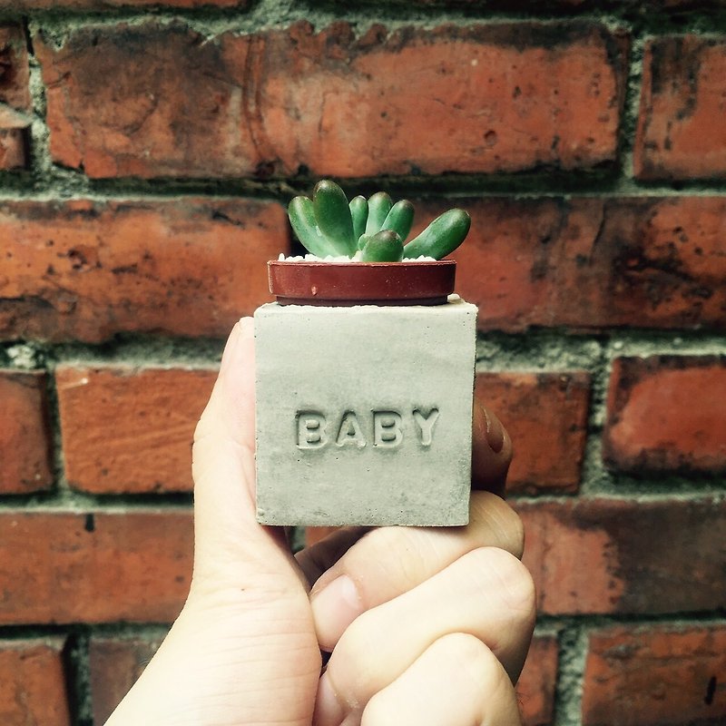 Baby!!磁鐵盆栽 - 植物/盆栽/盆景 - 水泥 灰色
