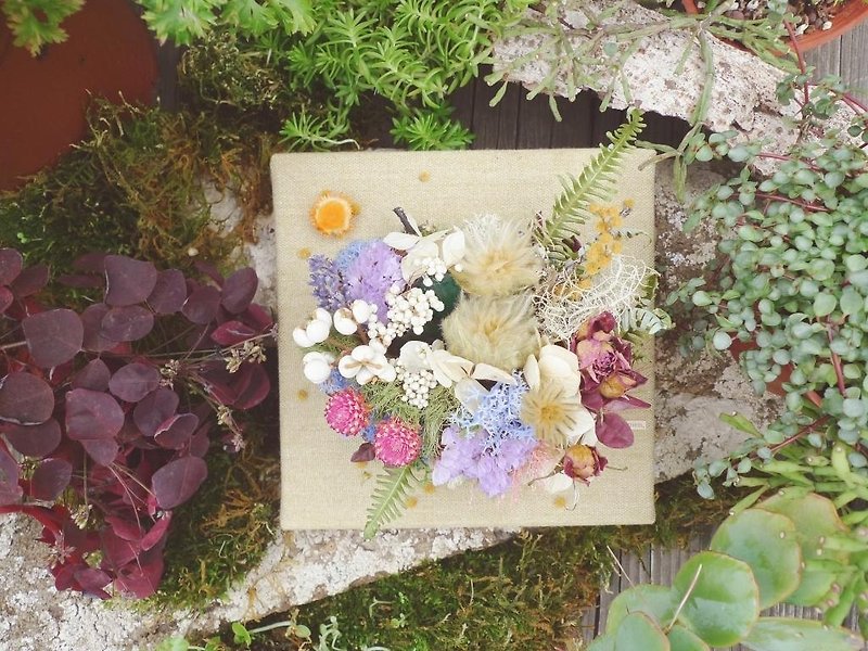 Dried flower paintings dream experiment _ _ Summer Garden - Plants - Plants & Flowers Khaki