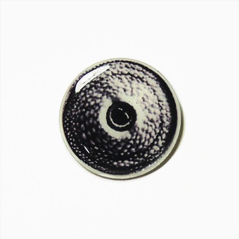 Eyeball Pin / Chameleon / Black - Brooches - Plastic Black