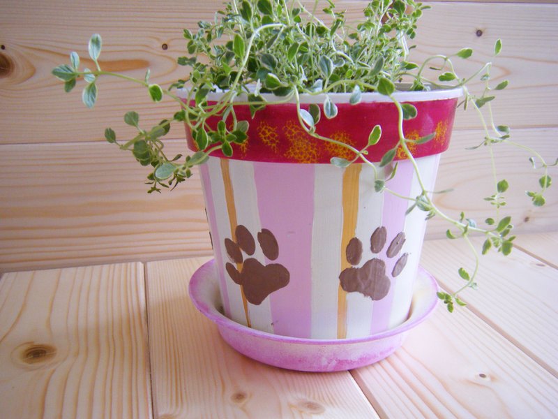 Cat Palm / Flower Pot - ตกแต่งต้นไม้ - อะคริลิค สึชมพู