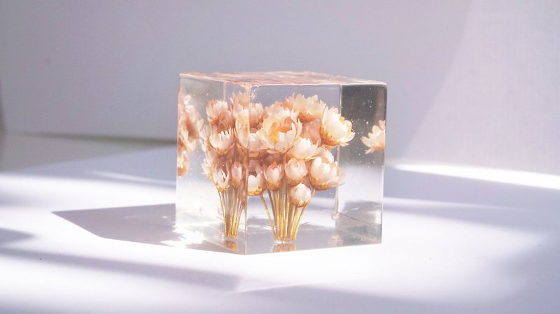 Pink flowers - dried flowers square three-dimensional display (not perfect series) - งานไม้/ไม้ไผ่/ตัดกระดาษ - กระดาษ สึชมพู