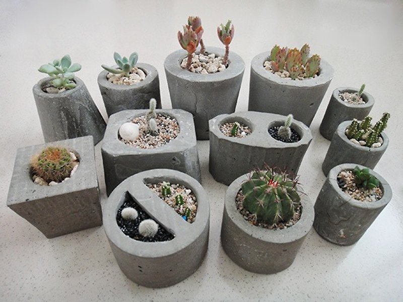 Variety of stone-cement pots is planting potted cactus succulents