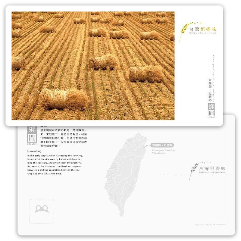 Taiwan rice fragrance postcard [Country Series] - Harvest - Cards & Postcards - Paper 