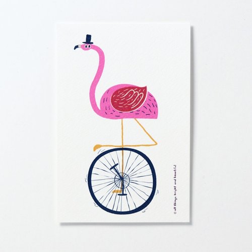 Flamingo Postcard