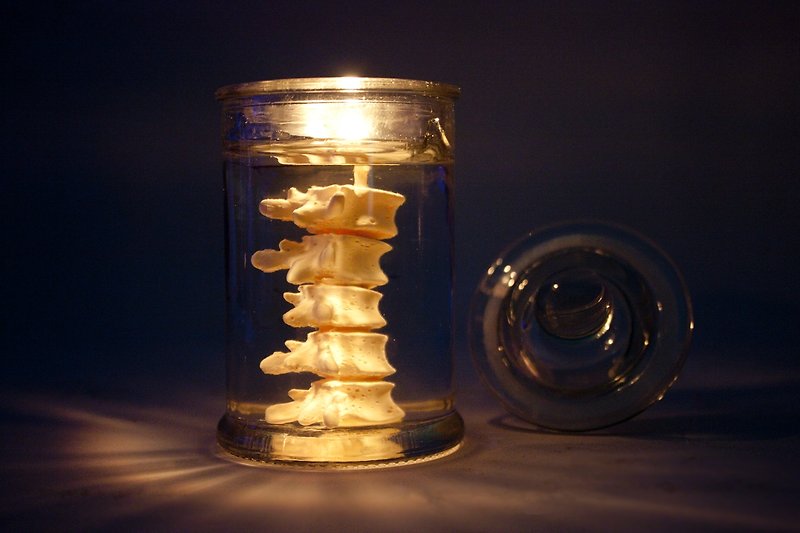 Backbone in Jar Candle – EYE LAB - เทียน/เชิงเทียน - ขี้ผึ้ง ขาว