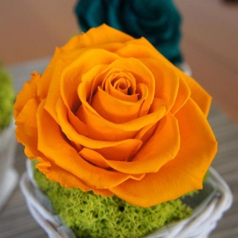 Hand-made flower pots rose gift does not wither yellow